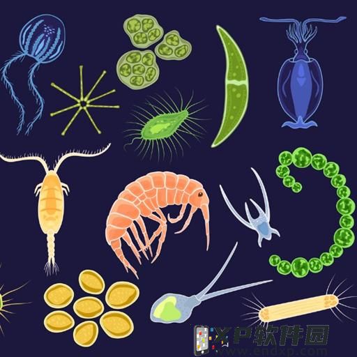 魔兽世界咒语的次序怎么做 魔兽世界诅咒密码任务流程